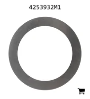 AGCO 4253932M1 Шайба