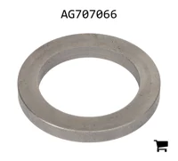 AGCO AG707066 Шайба