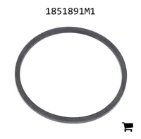 AGCO 1851891M1 Уплотнительное кольцо топливного фильтра