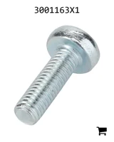 AGCO 3001163X1 Винт с полукруглой головкой