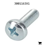 AGCO 3001163X1 Винт с полукруглой головкой