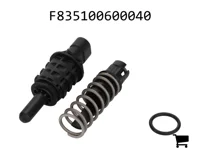 AGCO F835100600040 Переключатель