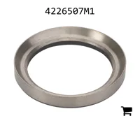 AGCO 4226507M1 Вставка