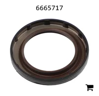 AGCO 6665717 Прокладка