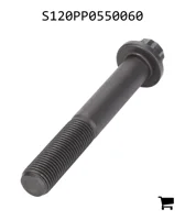 AGCO S120PP0550060 Болт с фланцем