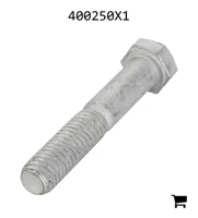 AGCO 400250X1 Болт