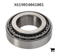 AGCO X619054041001 Конический роликовый подшипник