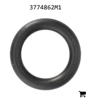 AGCO 3774862M1 Уплотнительное кольцо