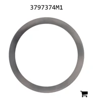 AGCO 3797374M1 Регулировочная шайба