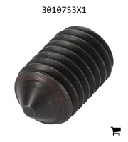 AGCO 3010753X1 Установочный винт с шестигранной головкой