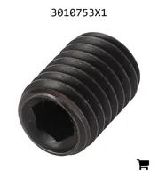 AGCO 3010753X1 Установочный винт с шестигранной головкой