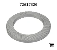 AGCO 72617320 Стопорная шайба