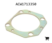 AGCO ACW1713350 Адаптер