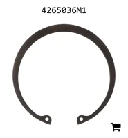 AGCO 4265036M1 Стопорное кольцо