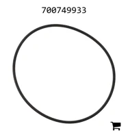 AGCO 700749933 Уплотнительное кольцо
