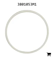 AGCO 3801053M1 Кольцо гидроподъемника