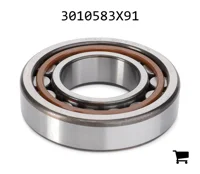 AGCO 3010583X91 Цилиндрический роликовый подшипник муфты ВОМ