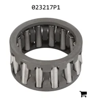 AGCO 023217P1 Подшипник