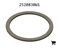 AGCO 2520830W1 Проставочная втулка