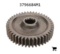 AGCO 3796684M1 Шестерня