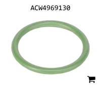 AGCO ACW4969130 Уплотнительное кольцо