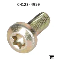 AGCO CH123-4950 Винт с цилиндрической головкой