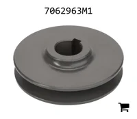 AGCO 7062963M1 Шкив клинового ремня вентилятора