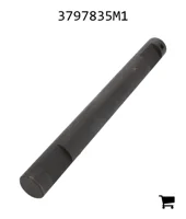 AGCO 3797835M1 Палец вилки