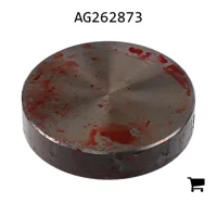 AGCO AG262873 Накладка износа