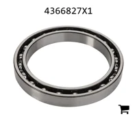 AGCO 4366827X1 Шариковый подшипник