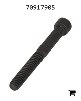 AGCO 70917905 Винт