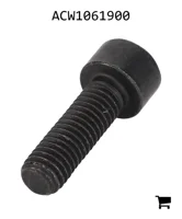 AGCO ACW1061900 Установочный винт с шестигранной головкой
