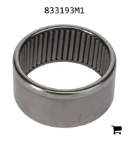 AGCO 833193M1 Игольчатый роликовый подшипник