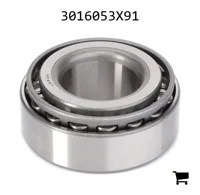 AGCO 3016053X91 Конический роликовый подшипник задней оси