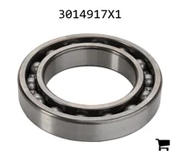 AGCO 3014917X1 Шариковый подшипник