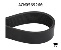 AGCO ACW0569260 Ремень