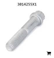 AGCO 3014255X1 Винт с 12-гранной головкой с фланцем
