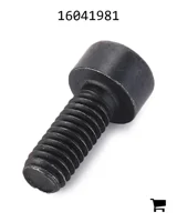 AGCO 16041981 Винт