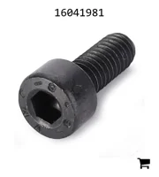 AGCO 16041981 Винт