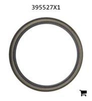 AGCO 395527X1 Радиальное уплотнительное кольцо