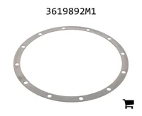 AGCO 3619892M1 Регулировочная шайба