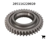 AGCO 205116220020 Цилиндрическая шестерня