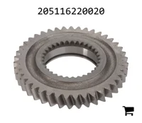 AGCO 205116220020 Цилиндрическая шестерня