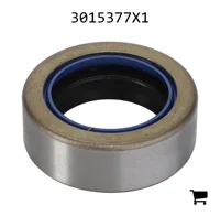 AGCO 3015377X1 Радиальное уплотнительное кольцо