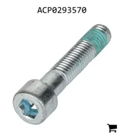 AGCO ACP0293570 Винт