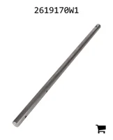AGCO 2619170W1 Вал