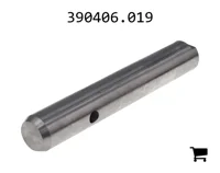 AGCO 390406.019 Вал