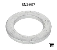 AGCO SN2037 Плоская шайба