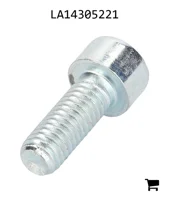 AGCO LA14305221 Винт с шестигранной головкой