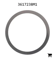 AGCO 3617238M1 Регулировочная шайба